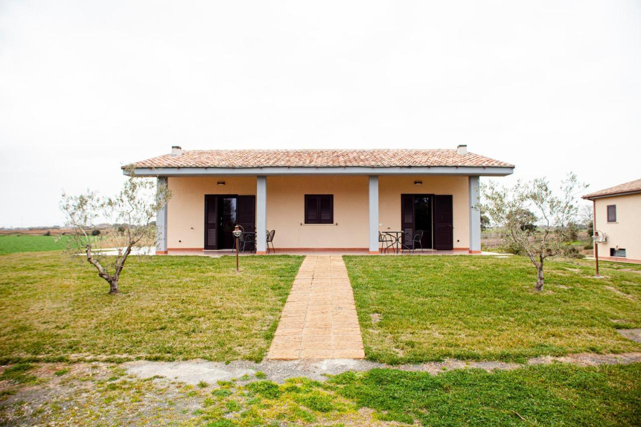 Podere Giovanni Olivo Tarquinia Buitenkant foto