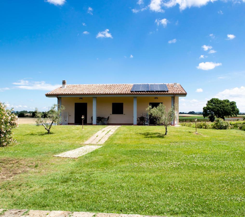 Podere Giovanni Olivo Tarquinia Buitenkant foto